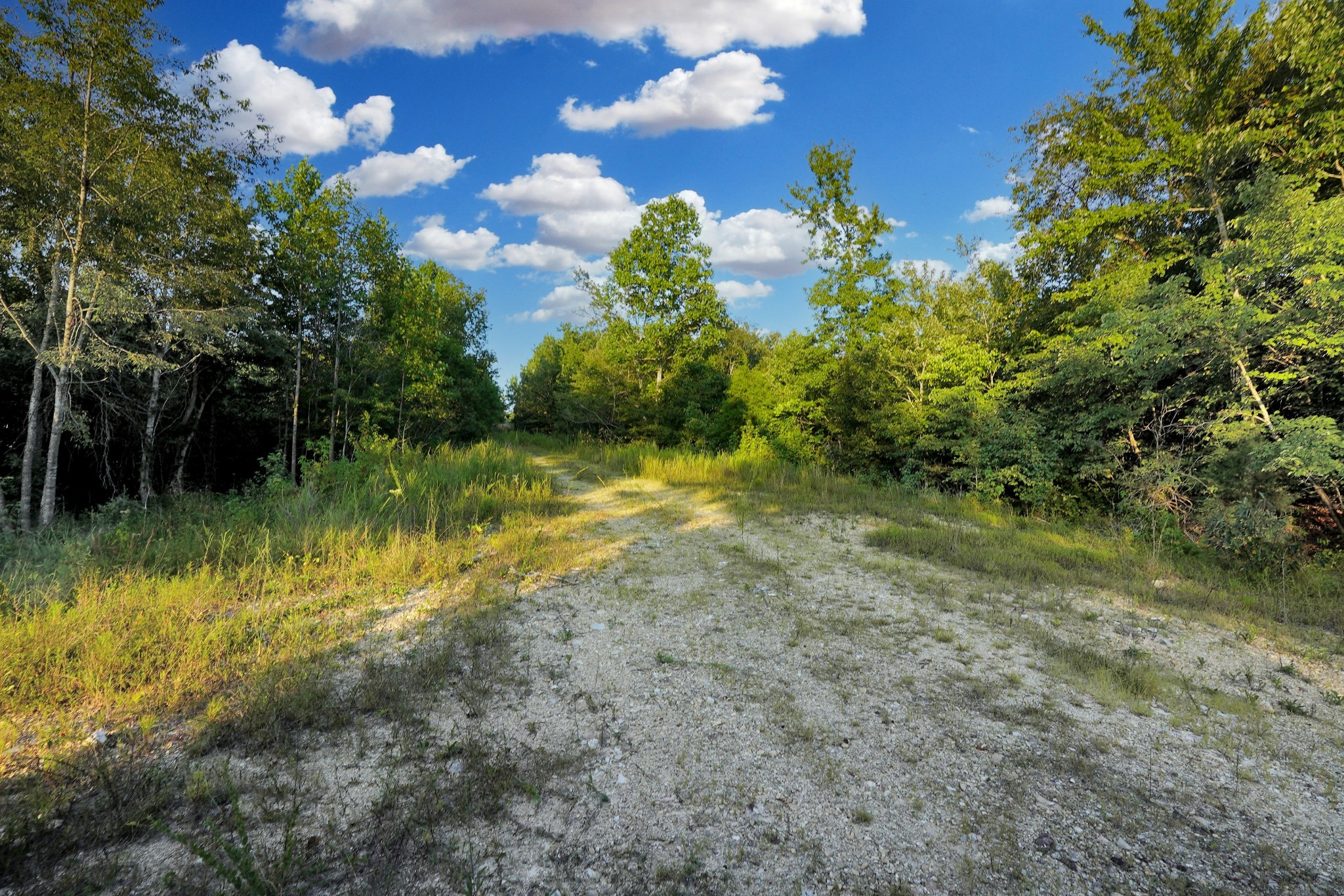 4 Cox Hollow Road Dover, TN 37058 - Photo 7 of 16 Gallery Image 7