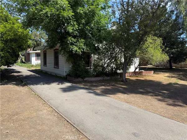 a view of a yard with plants and trees