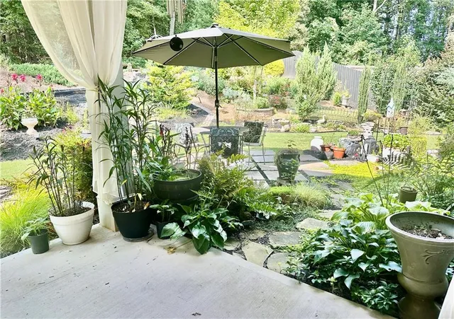 a view of a backyard with a potted plants and large tree