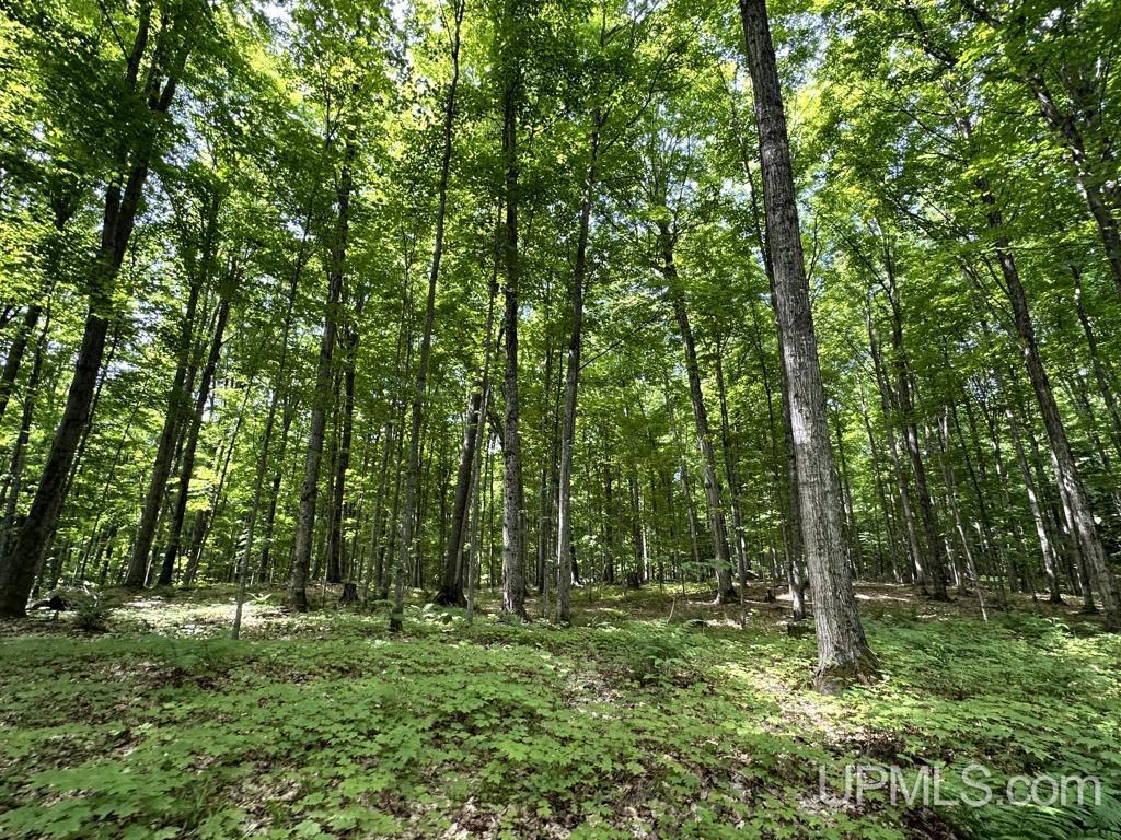0 County Road 553 Road Marquette, MI 49855 - Photo 36 of 38
