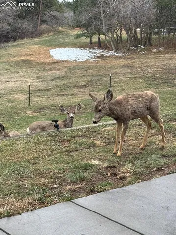 $825,000 | 721 Forest View Road, Monument, CO 80132