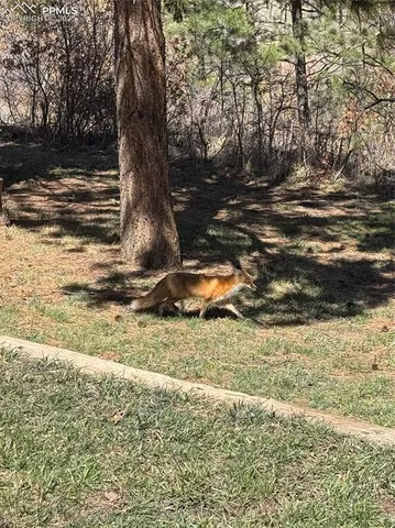 $825,000 | 721 Forest View Road, Monument, CO 80132