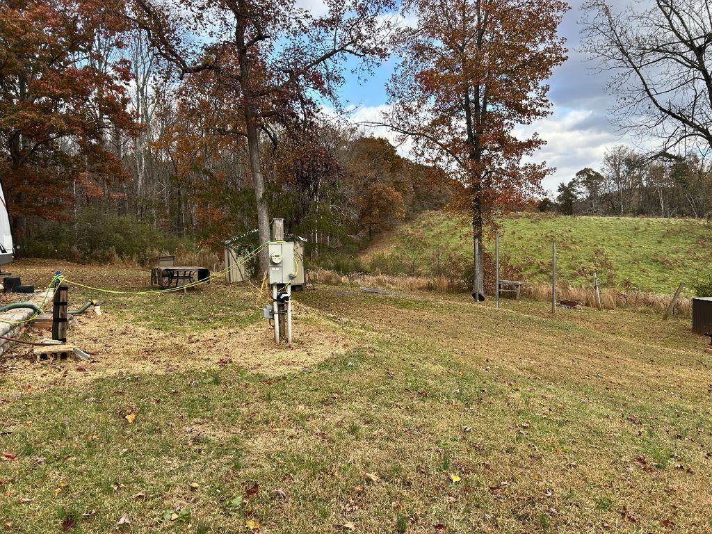 152 Rocket Drive Cleveland, GA 30528 - Photo 4 of 12 a view of a yard with a tree