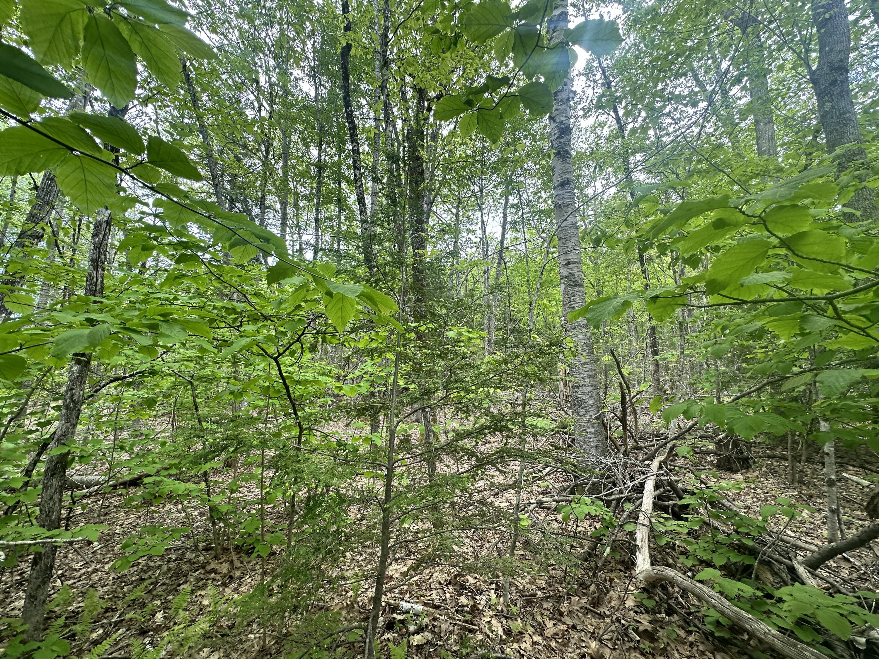 Lot #15 Greenacre Road Lincolnville, ME 04849 - Photo 19 of 23