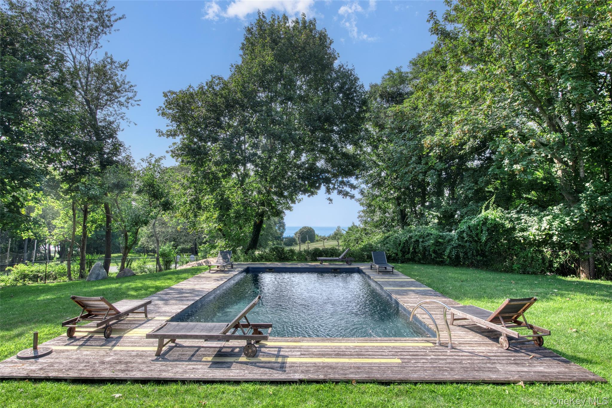 495 Maple Lane Orient, NY 11957 - Photo 2 of 17 a view of a swimming pool with lawn chairs and plants