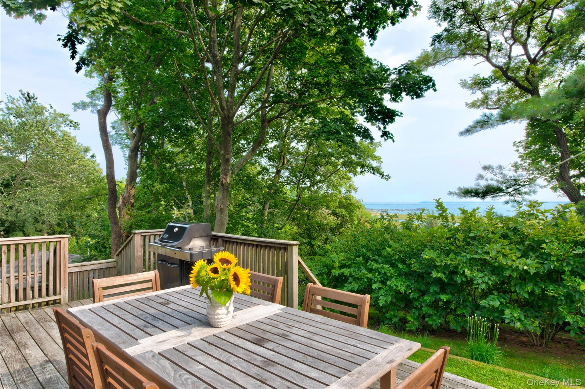 495 Maple Lane Orient, NY 11957 - Photo 10 of 18 deck/grilling area