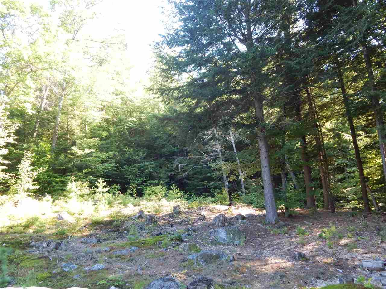 26 Upper New Hampton Road Meredith, NH 03253 - Photo 28 of 40