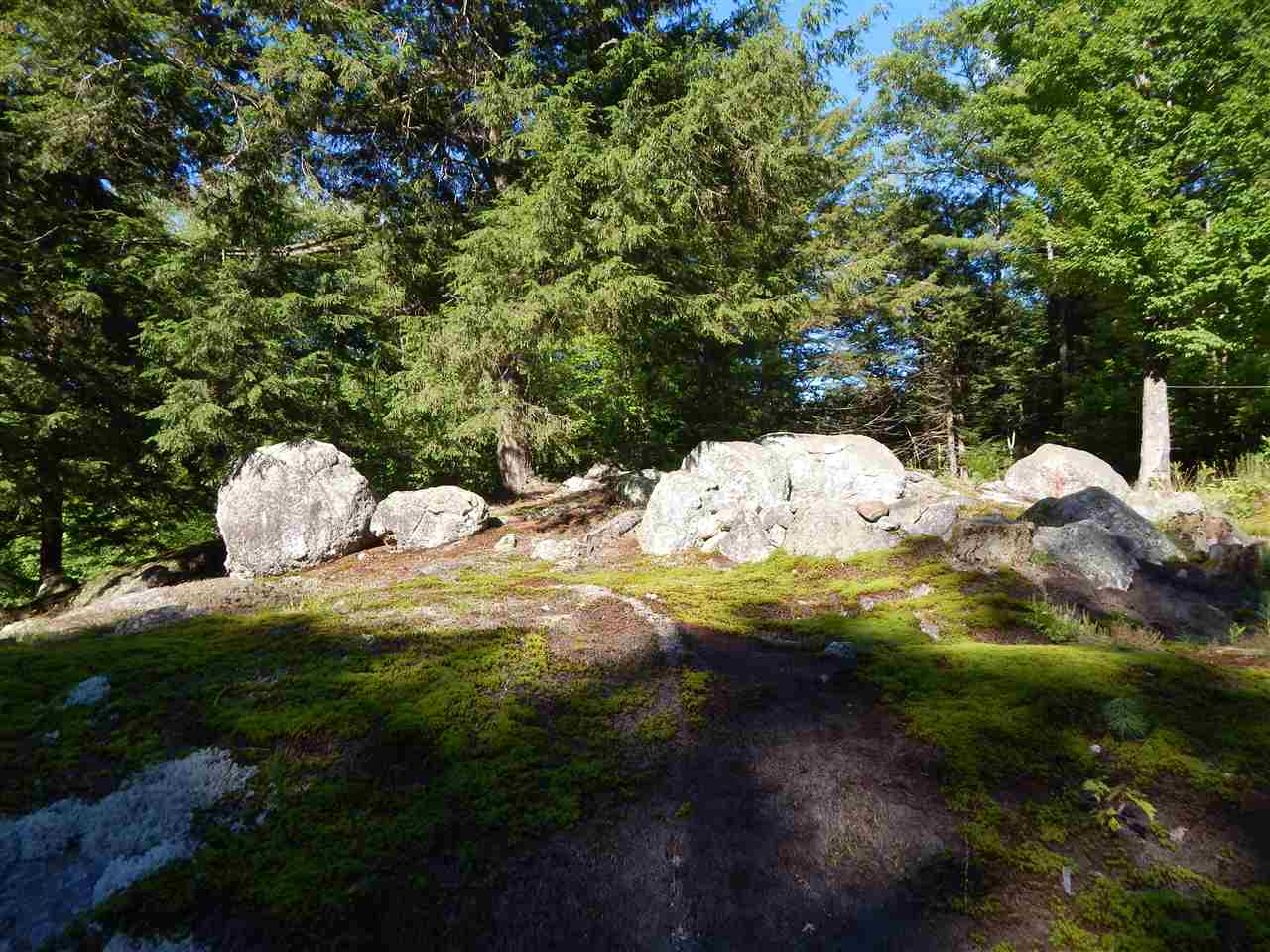 26 Upper New Hampton Road Meredith, NH 03253 - Photo 30 of 40
