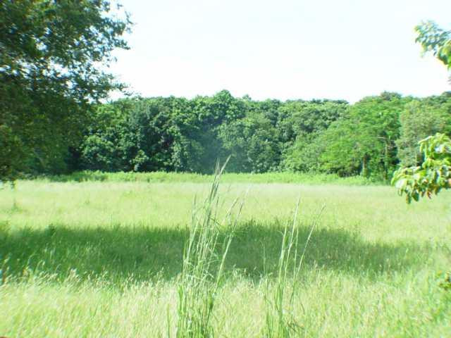 14671 Mustang Trail Southwest Ranches, FL 33330 - Photo 4 of 5 View