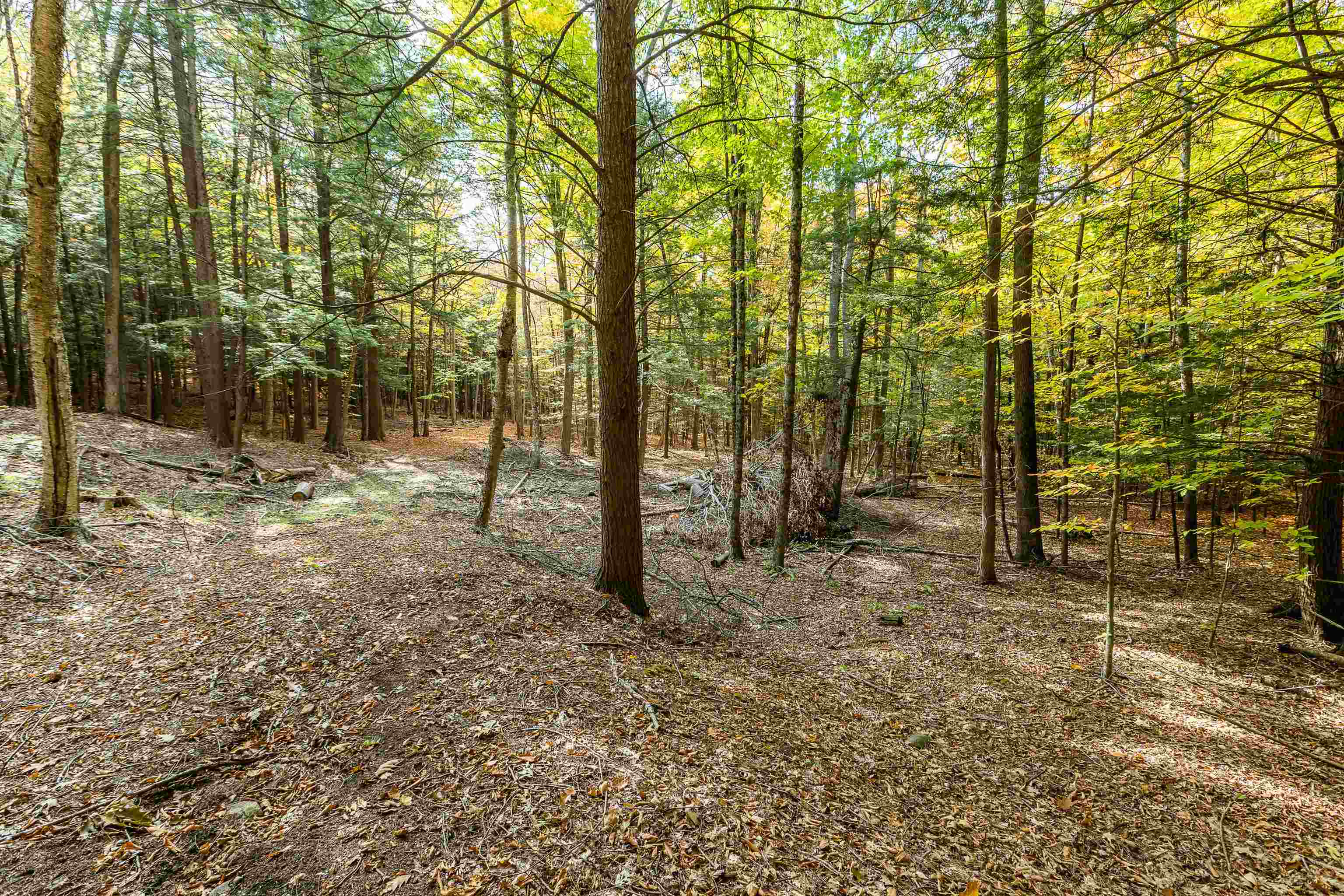 62 Stevens Road Hanover, NH 03755 - Photo 16 of 17