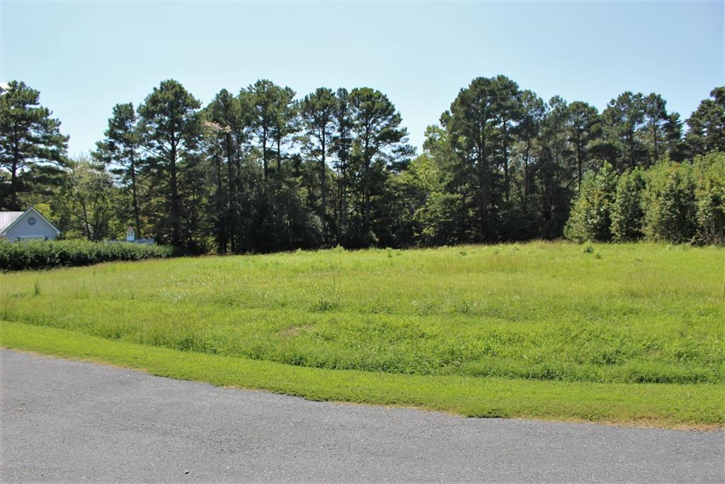 Lot 14 Hideaway Cove Road, Unit 14 Exmore, VA 23350 - Photo 4 of 16