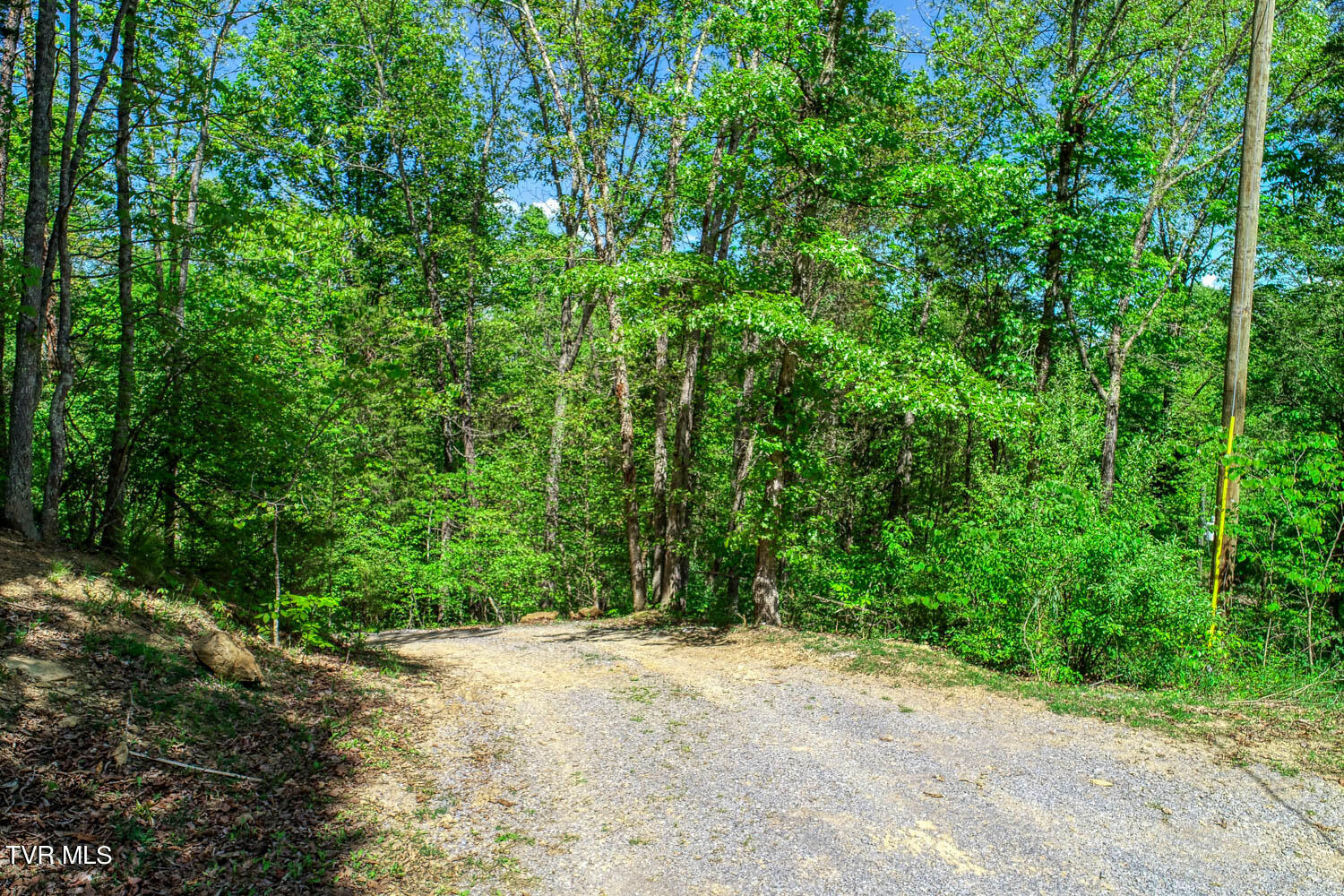 250 Webster Valley Road Rogersville, TN 37857 - Photo 12 of 104 CBJ. 250 Webster V. Rog MLSa_-12