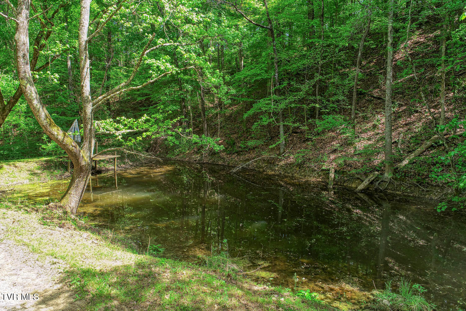 250 Webster Valley Road Rogersville, TN 37857 - Photo 26 of 104 CBJ. 250 Webster V. Rog MLSa_-27