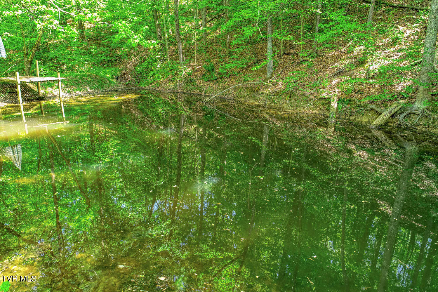 250 Webster Valley Road Rogersville, TN 37857 - Photo 27 of 104 CBJ. 250 Webster V. Rog MLSa_-28