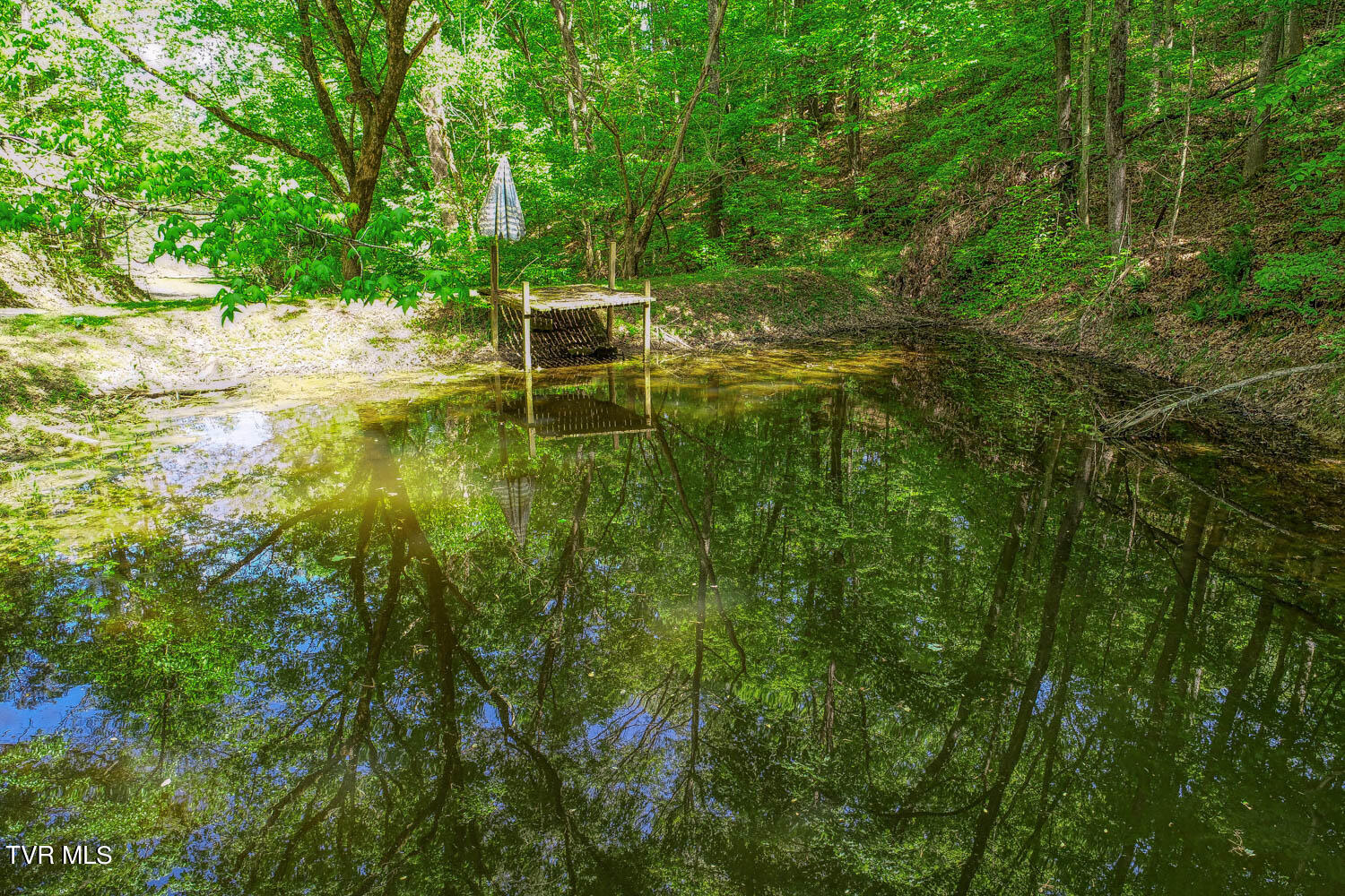 250 Webster Valley Road Rogersville, TN 37857 - Photo 28 of 104 CBJ. 250 Webster V. Rog MLSa_-29