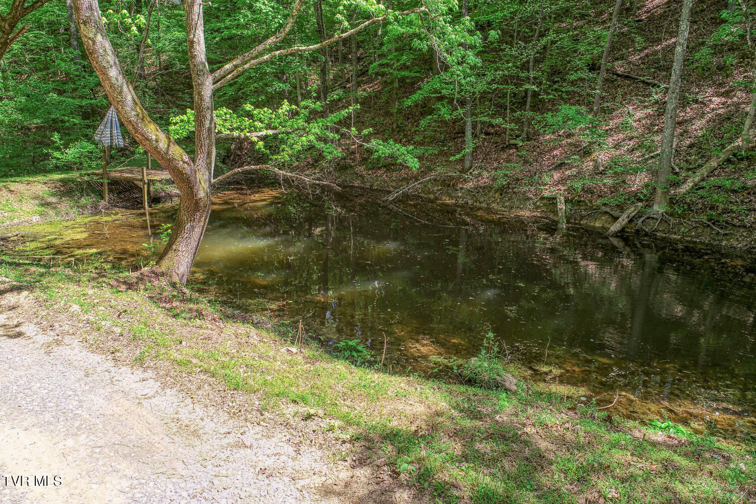250 Webster Valley Road Rogersville, TN 37857 - Photo 29 of 104 CBJ. 250 Webster V. Rog MLSa_-30