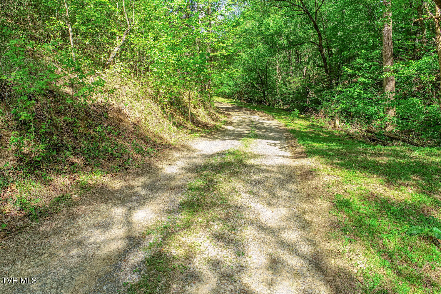 250 Webster Valley Road Rogersville, TN 37857 - Photo 30 of 104 CBJ. 250 Webster V. Rog MLSa_-31