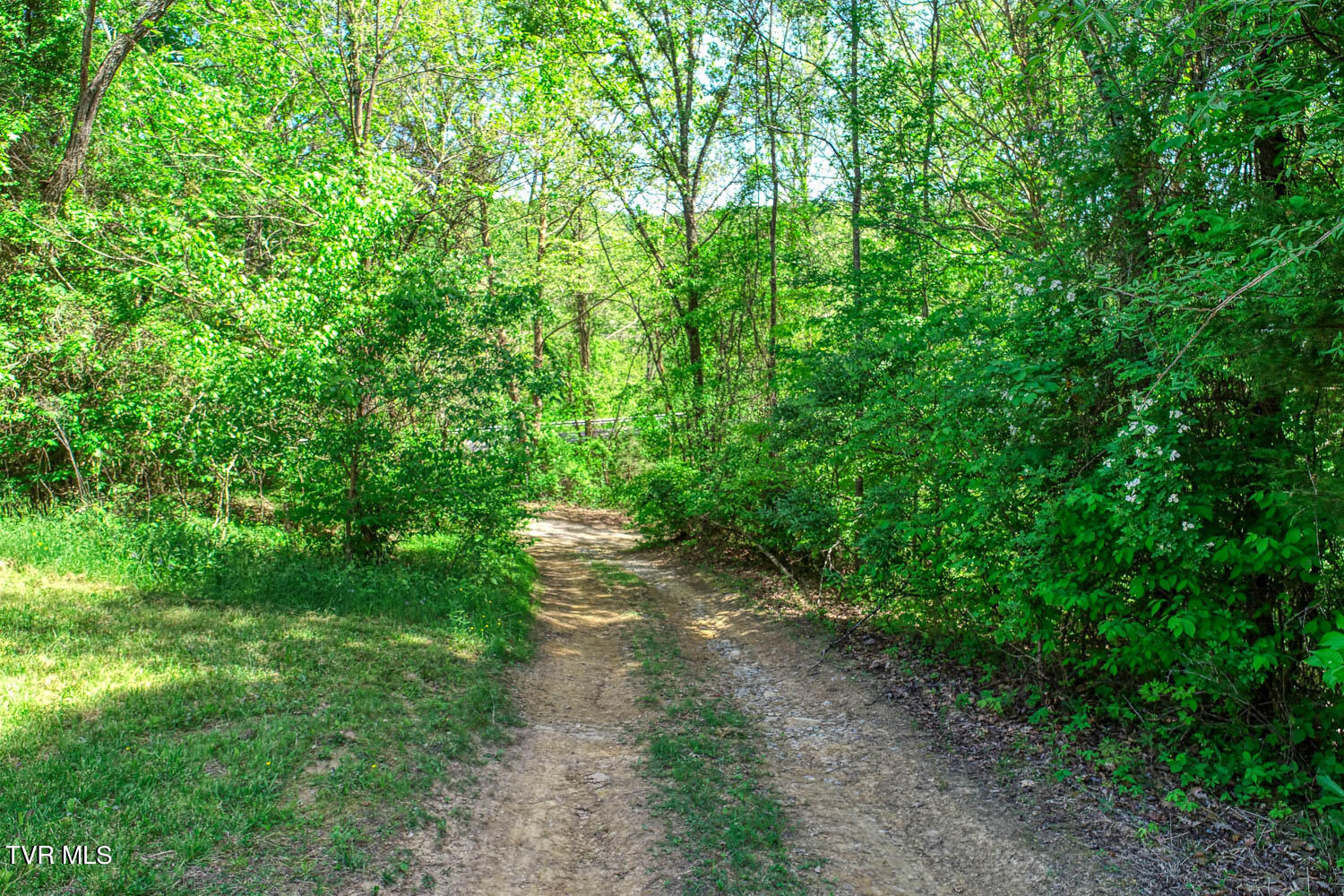 250 Webster Valley Road Rogersville, TN 37857 - Photo 38 of 104 CBJ. 250 Webster V. Rog MLSa_-39