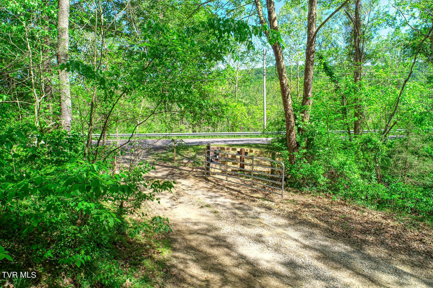 250 Webster Valley Road Rogersville, TN 37857 - Photo 39 of 104 CBJ. 250 Webster V. Rog MLSa_-40