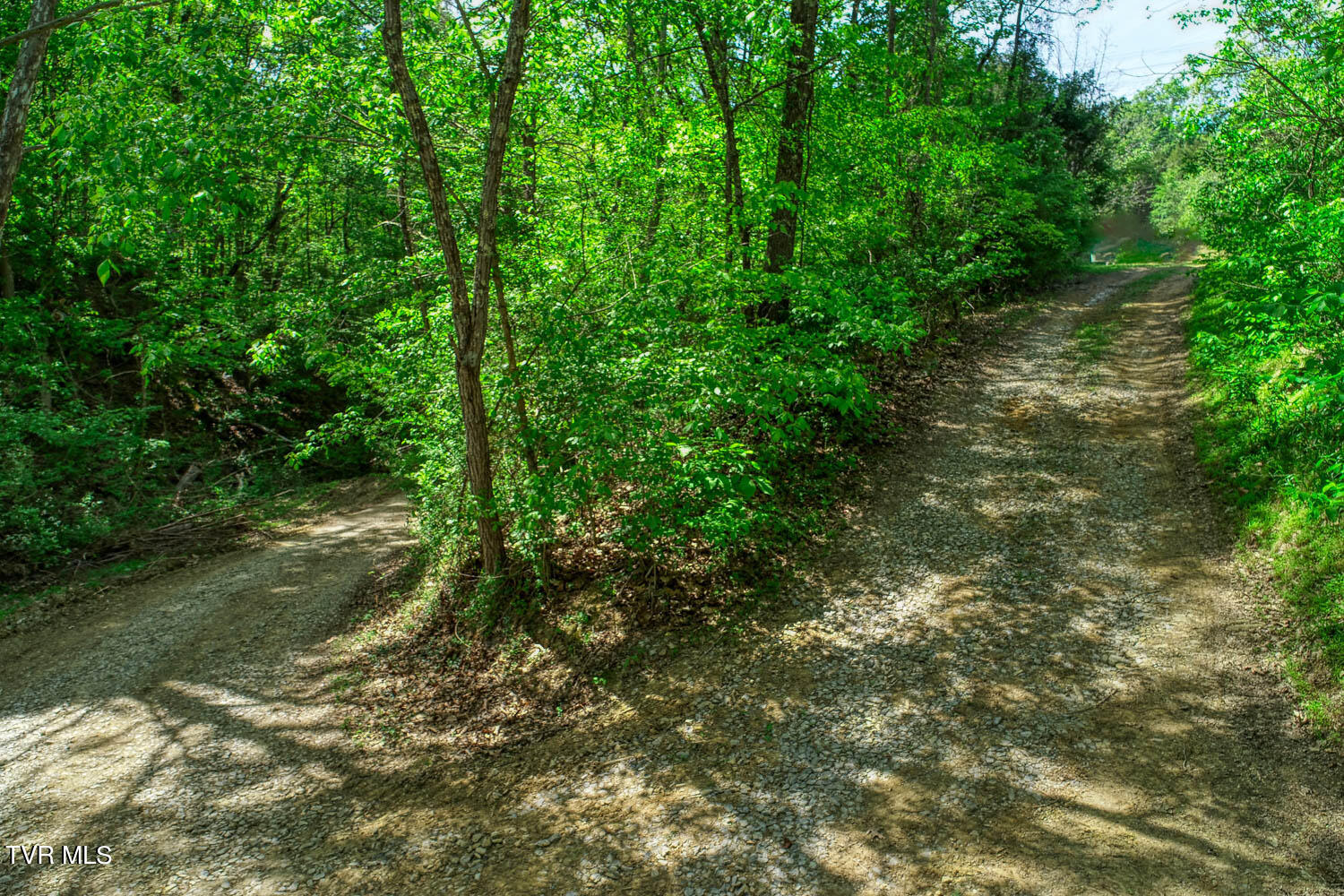 250 Webster Valley Road Rogersville, TN 37857 - Photo 40 of 104 CBJ. 250 Webster V. Rog MLSa_-41