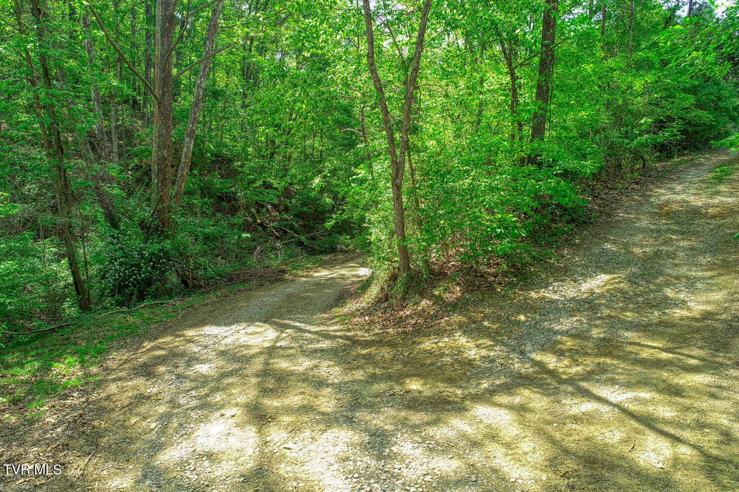 250 Webster Valley Road Rogersville, TN 37857 - Photo 42 of 104 CBJ. 250 Webster V. Rog MLSa_-43