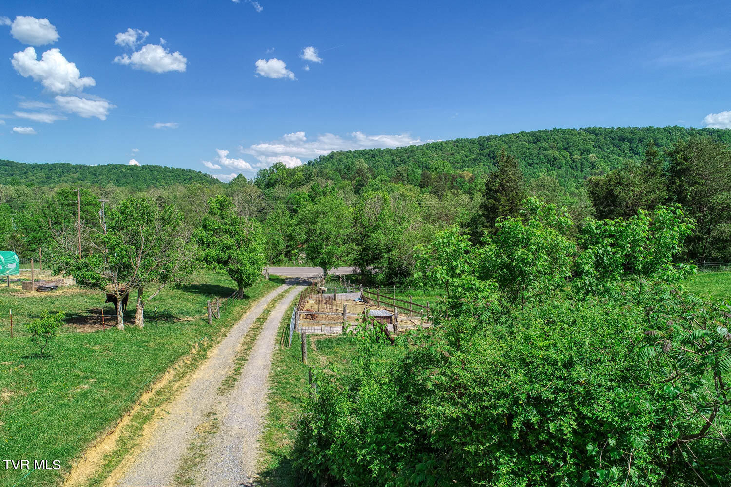 250 Webster Valley Road Rogersville, TN 37857 - Photo 46 of 104 CBJ. 250 Webster V. Rog MLSa_-47