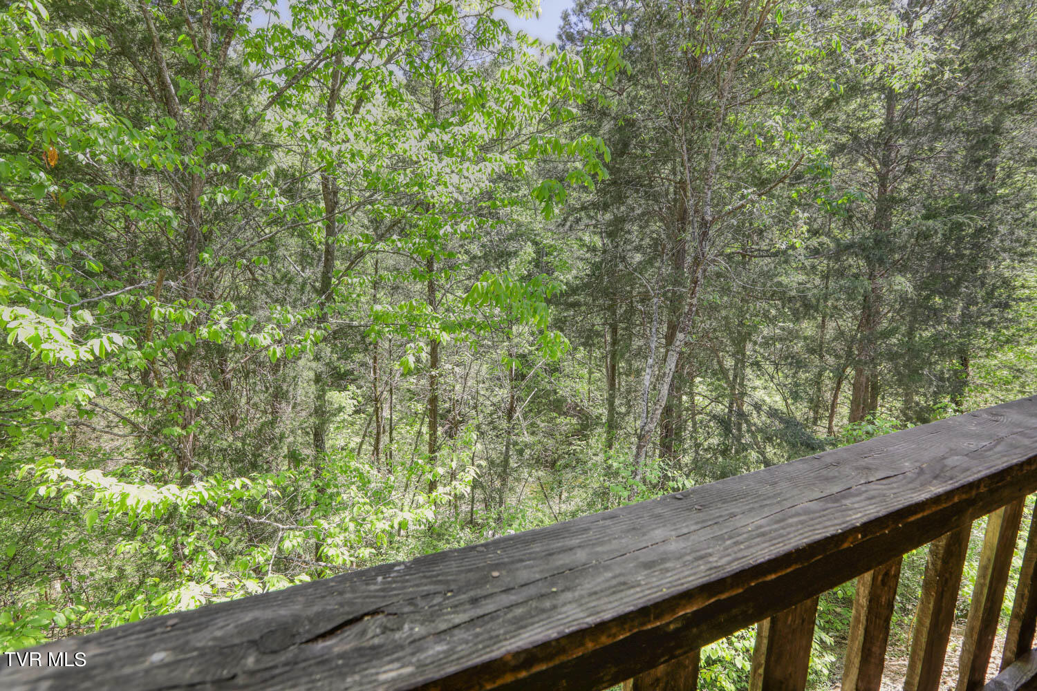 250 Webster Valley Road Rogersville, TN 37857 - Photo 94 of 104 CBJ. 250 Webster V. Rog MLSb-44