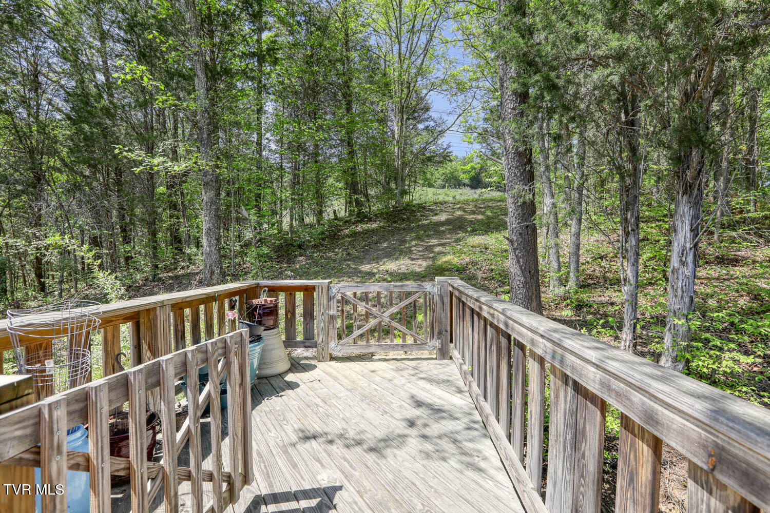 250 Webster Valley Road Rogersville, TN 37857 - Photo 97 of 104 CBJ. 250 Webster V. Rog MLSb-47