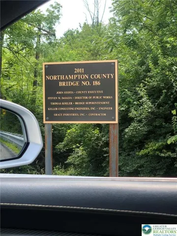 a plant view in yard