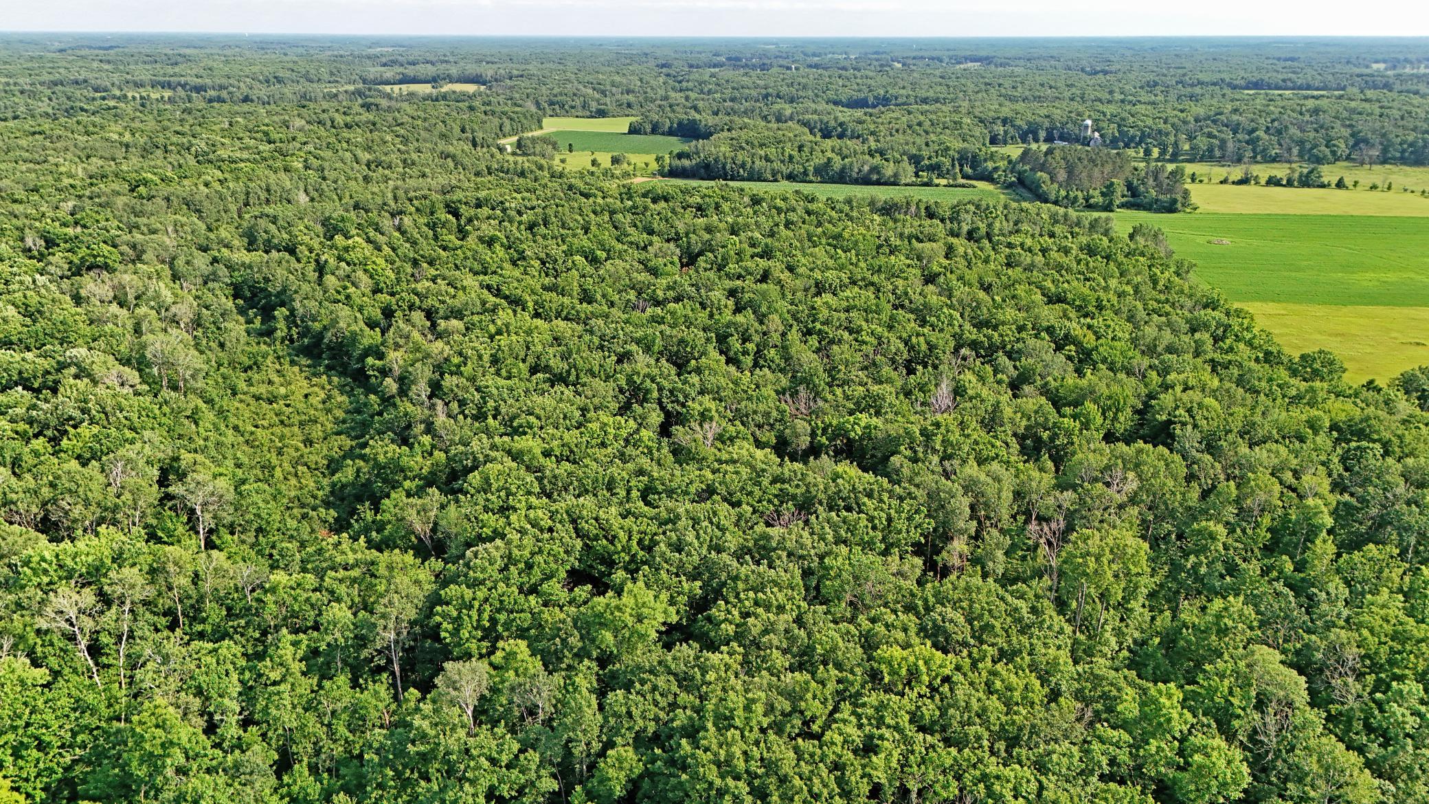 Tbd 155th Avenue Milaca, MN 56353 - Photo 13 of 18