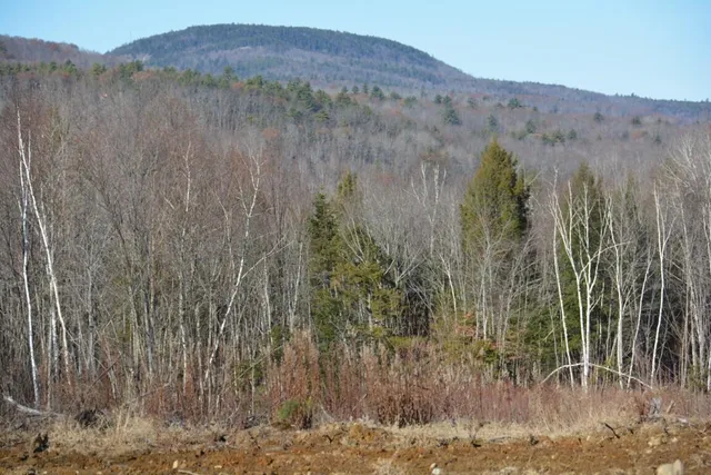 $139,900 | Lot 137.25 French Hill Road, Bethel, ME 04217