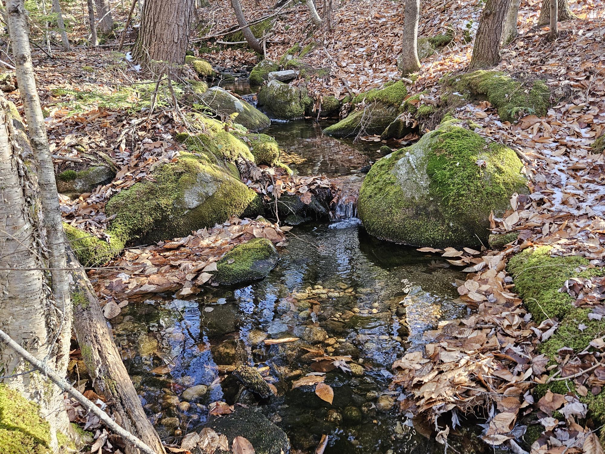 Lot 137.25 French Hill Road Bethel, ME 04217 - Photo 12 of 20 seasonal streem 2