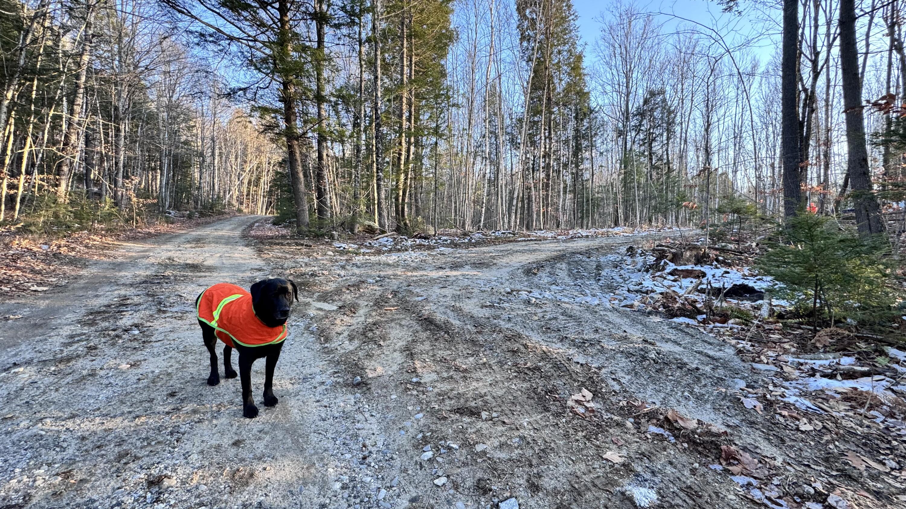 Lot 137.25 French Hill Road Bethel, ME 04217 - Photo 15 of 20 entrance top driveway from road