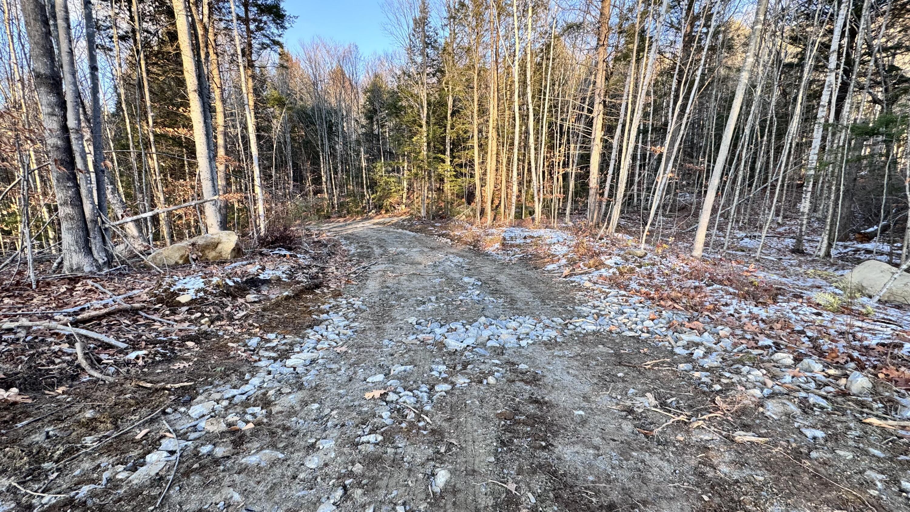 Lot 137.25 French Hill Road Bethel, ME 04217 - Photo 16 of 20 driveway