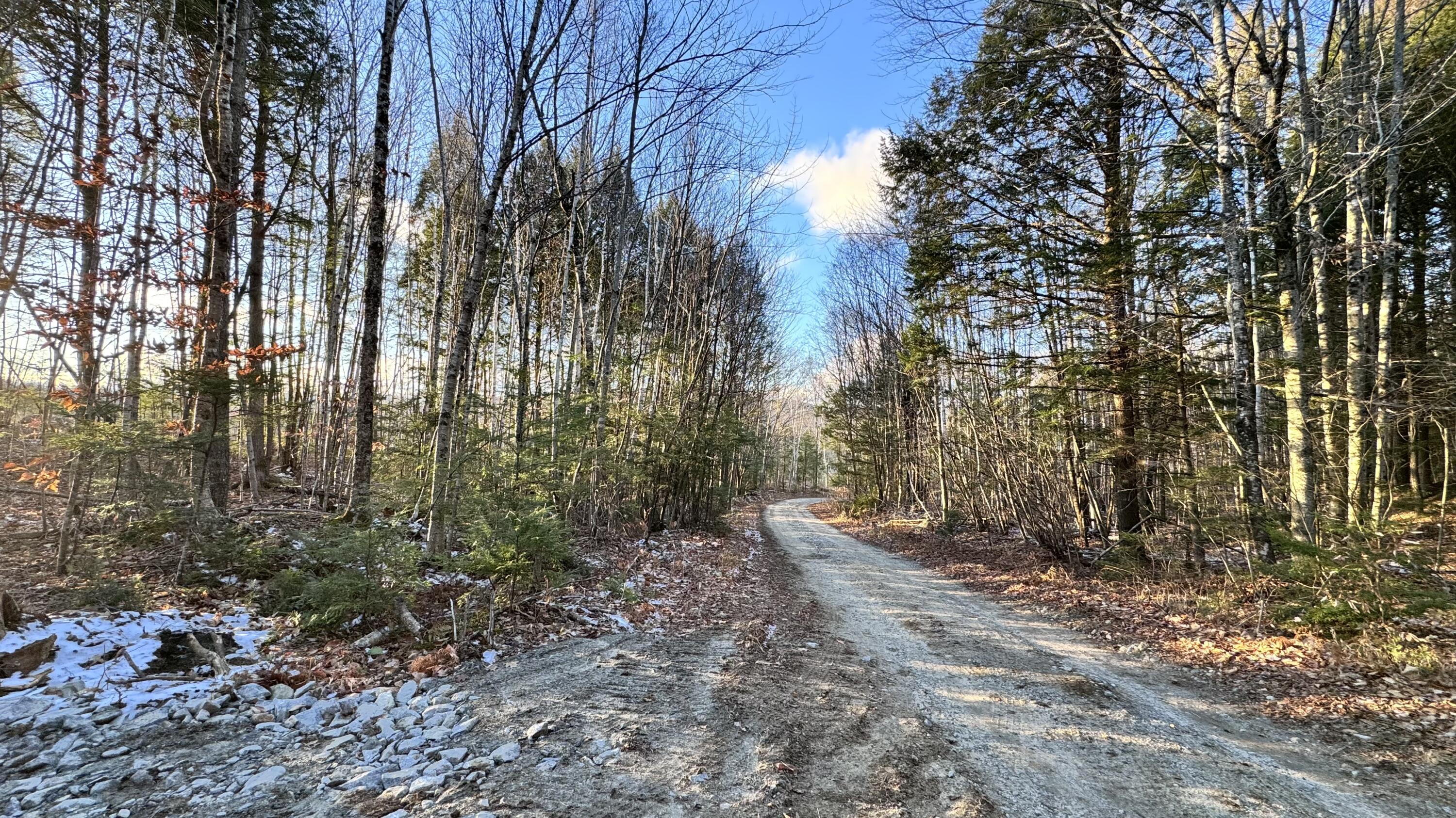 Lot 137.25 French Hill Road Bethel, ME 04217 - Photo 17 of 20 driveway2