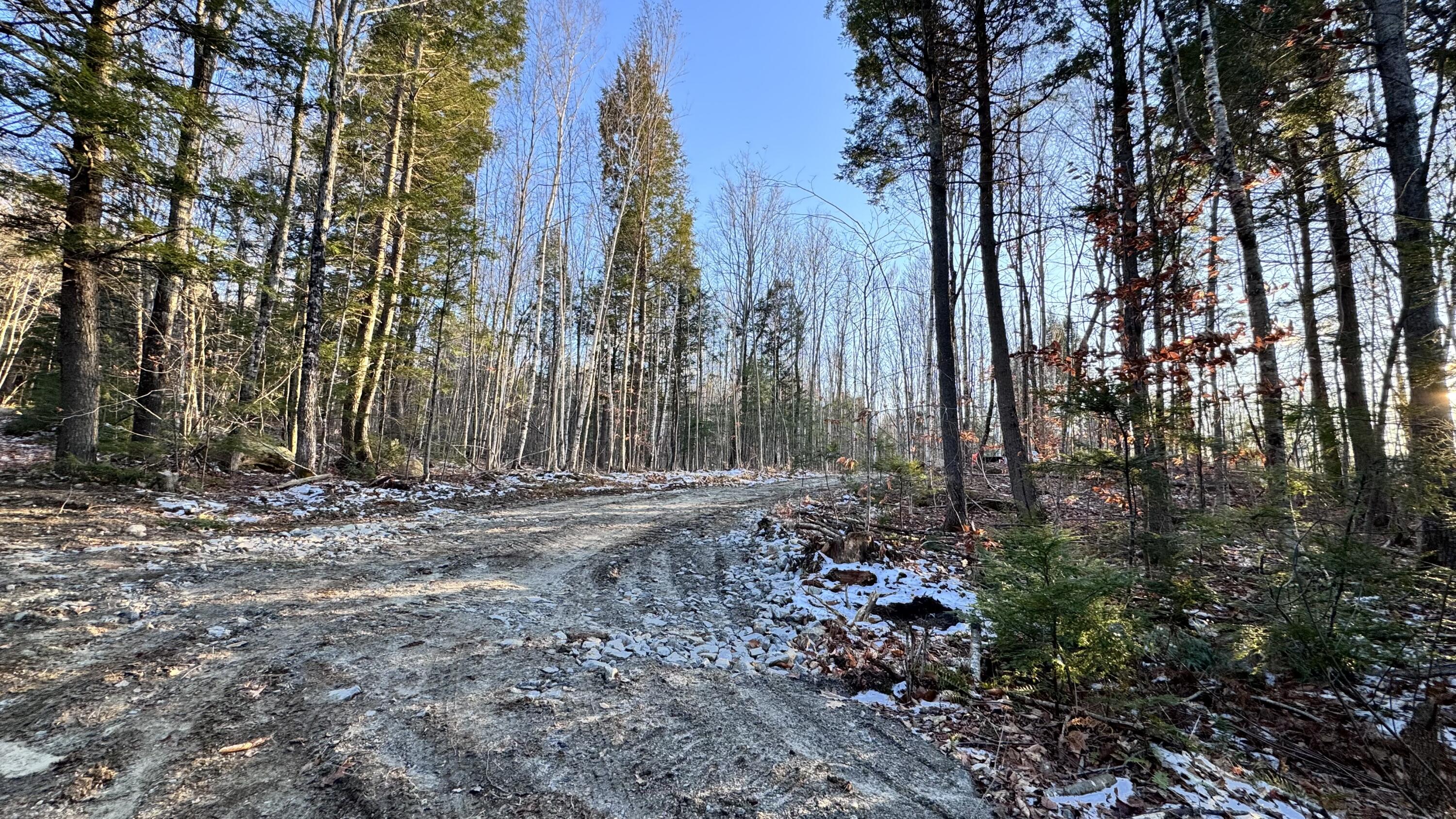 Lot 137.25 French Hill Road Bethel, ME 04217 - Photo 18 of 20 driveway3