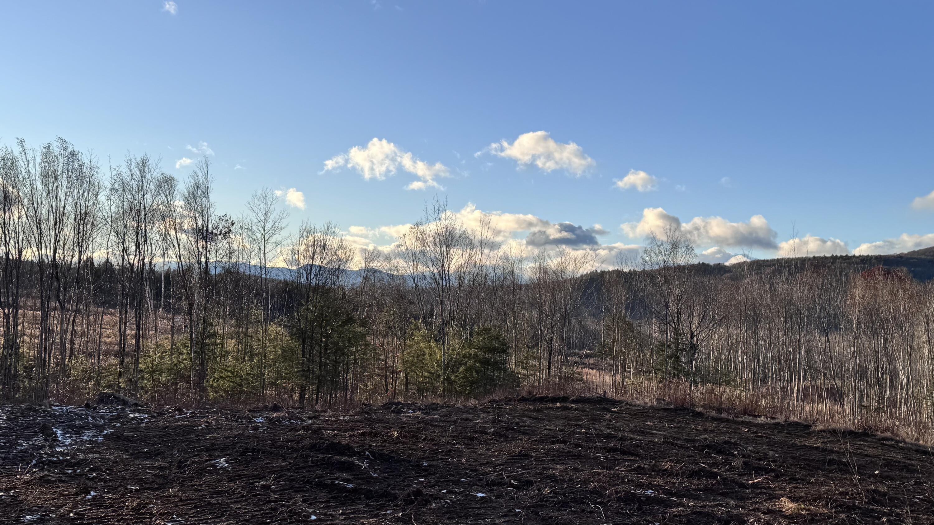 Lot 137.25 French Hill Road Bethel, ME 04217 - Photo 19 of 20 view 3