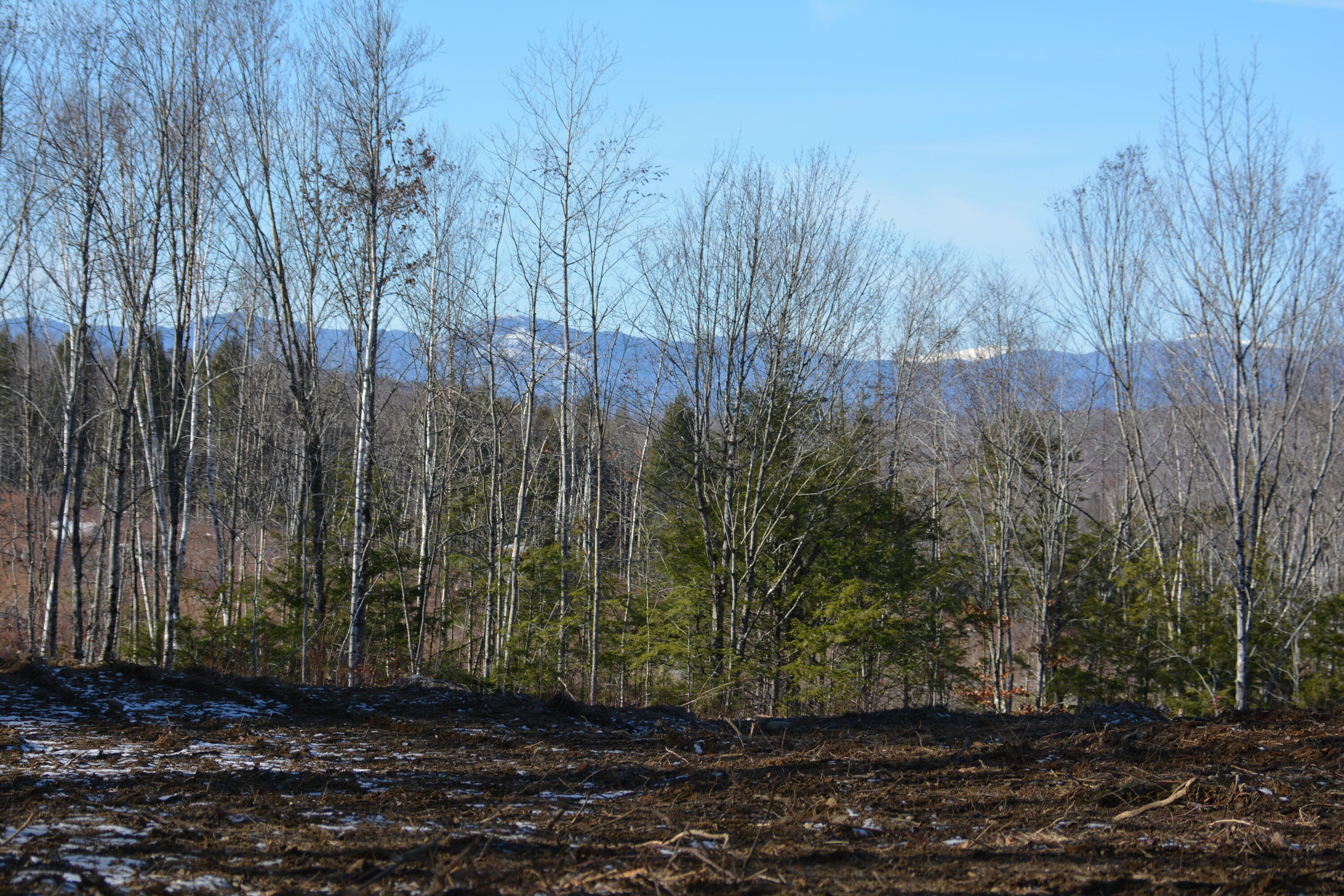 Lot 137.25 French Hill Road Bethel, ME 04217 - Photo 2 of 20 Seasonal Mt. Washington views