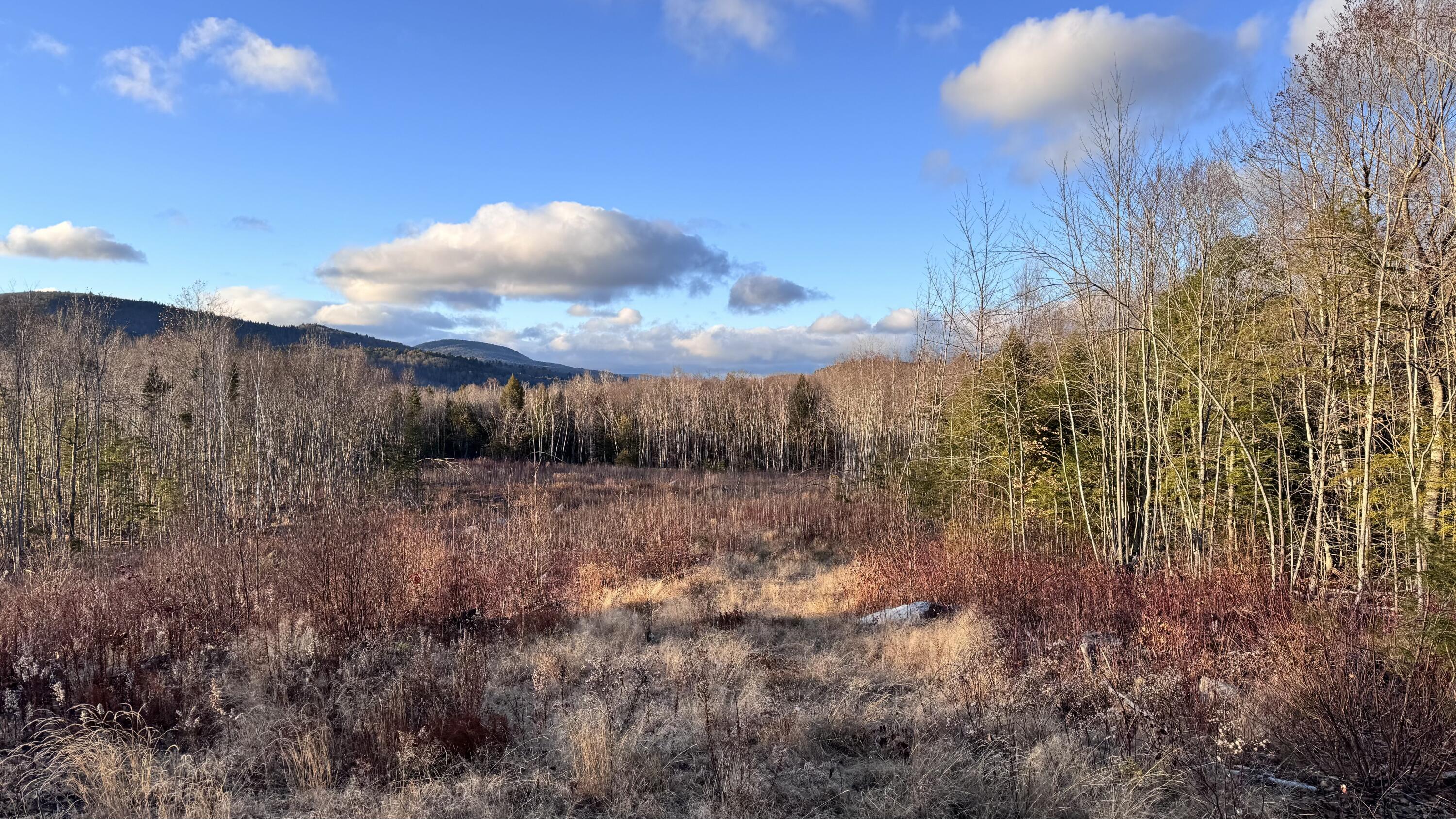 Lot 137.25 French Hill Road Bethel, ME 04217 - Photo 7 of 20 Lot