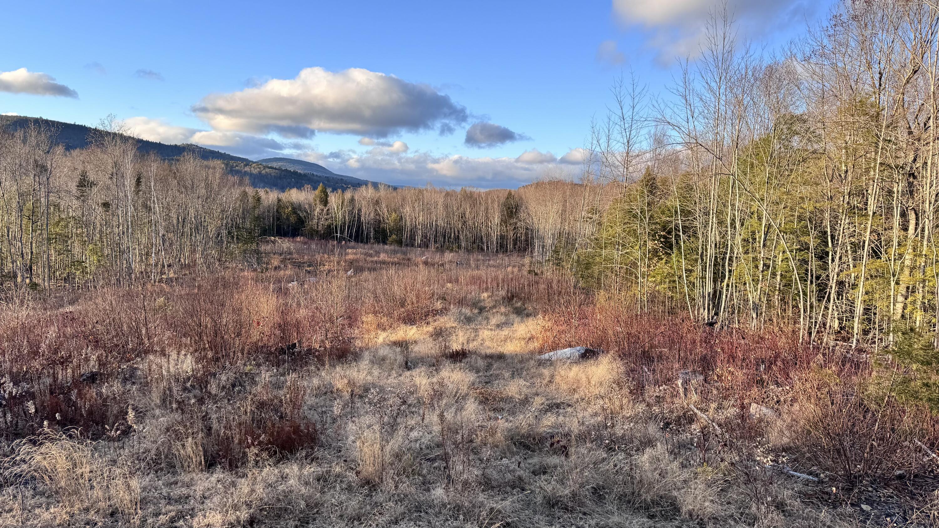 Lot 137.25 French Hill Road Bethel, ME 04217 - Photo 8 of 20 Overview of lot 3