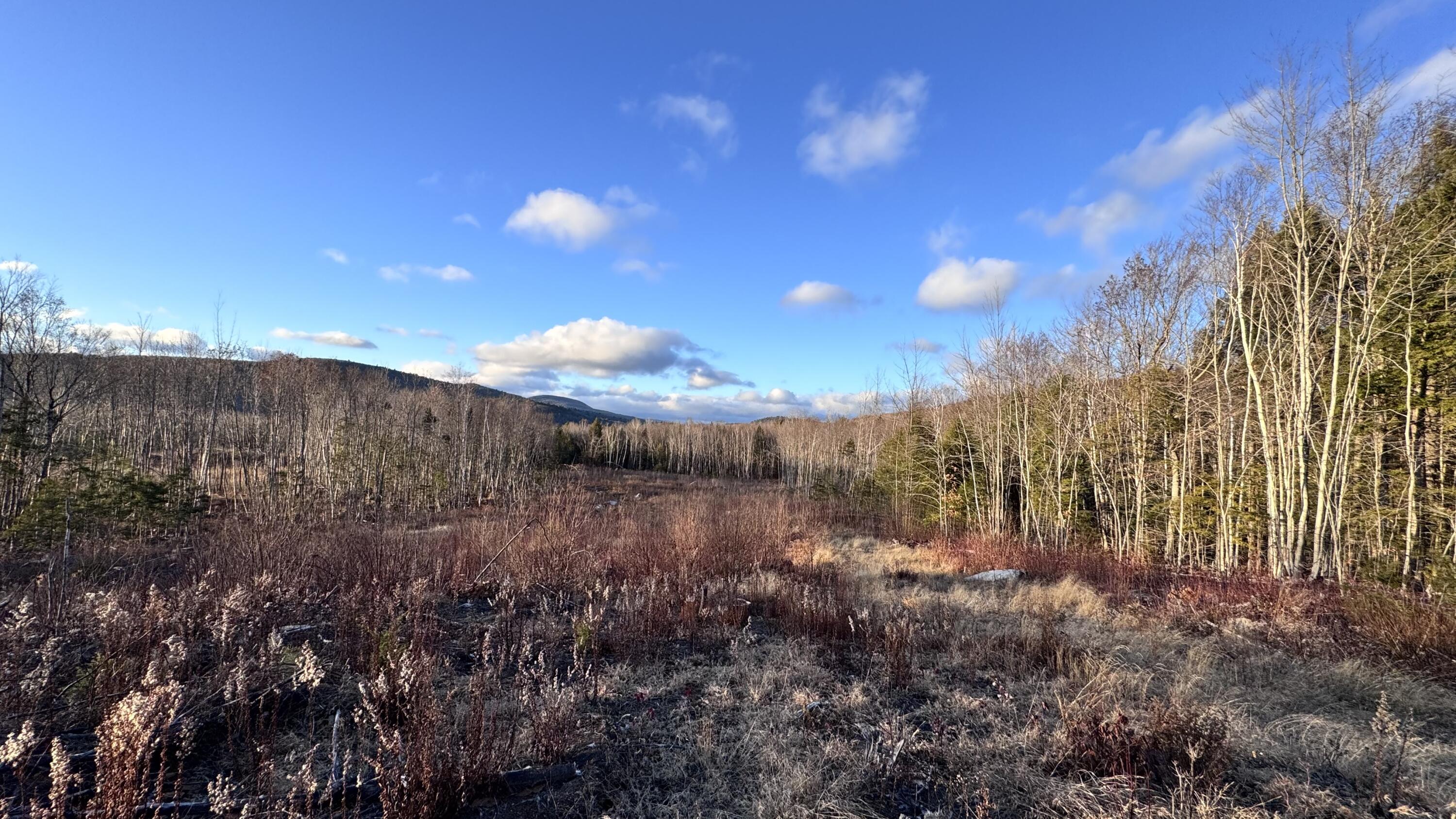 Lot 137.25 French Hill Road Bethel, ME 04217 - Photo 9 of 20 Overview of lot
