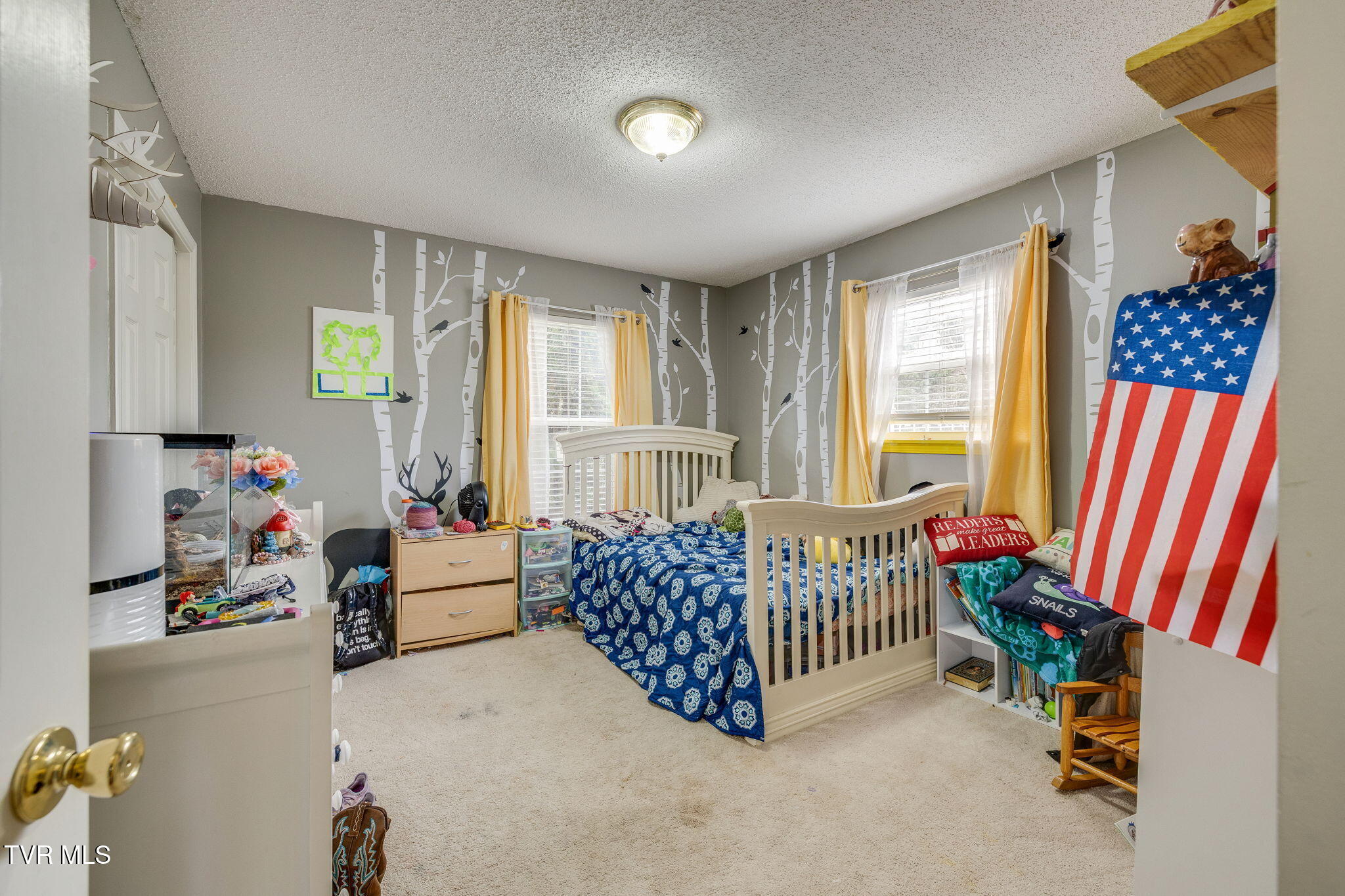 468 Old Embreeville Road Jonesborough, TN 37659 - Photo 17 of 35 017