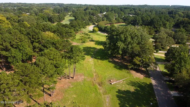 $2,000,000 | Annandale Drive, Madison, MS 39110
