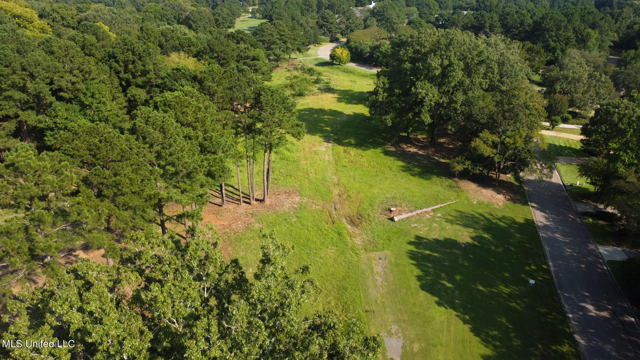 Annandale Drive Madison, MS 39110 - Photo 12 of 17 Annandale Property-18
