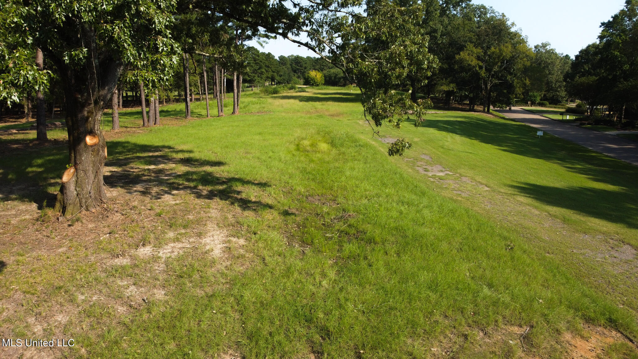 Annandale Drive Madison, MS 39110 - Photo 13 of 17 Annandale Property-19