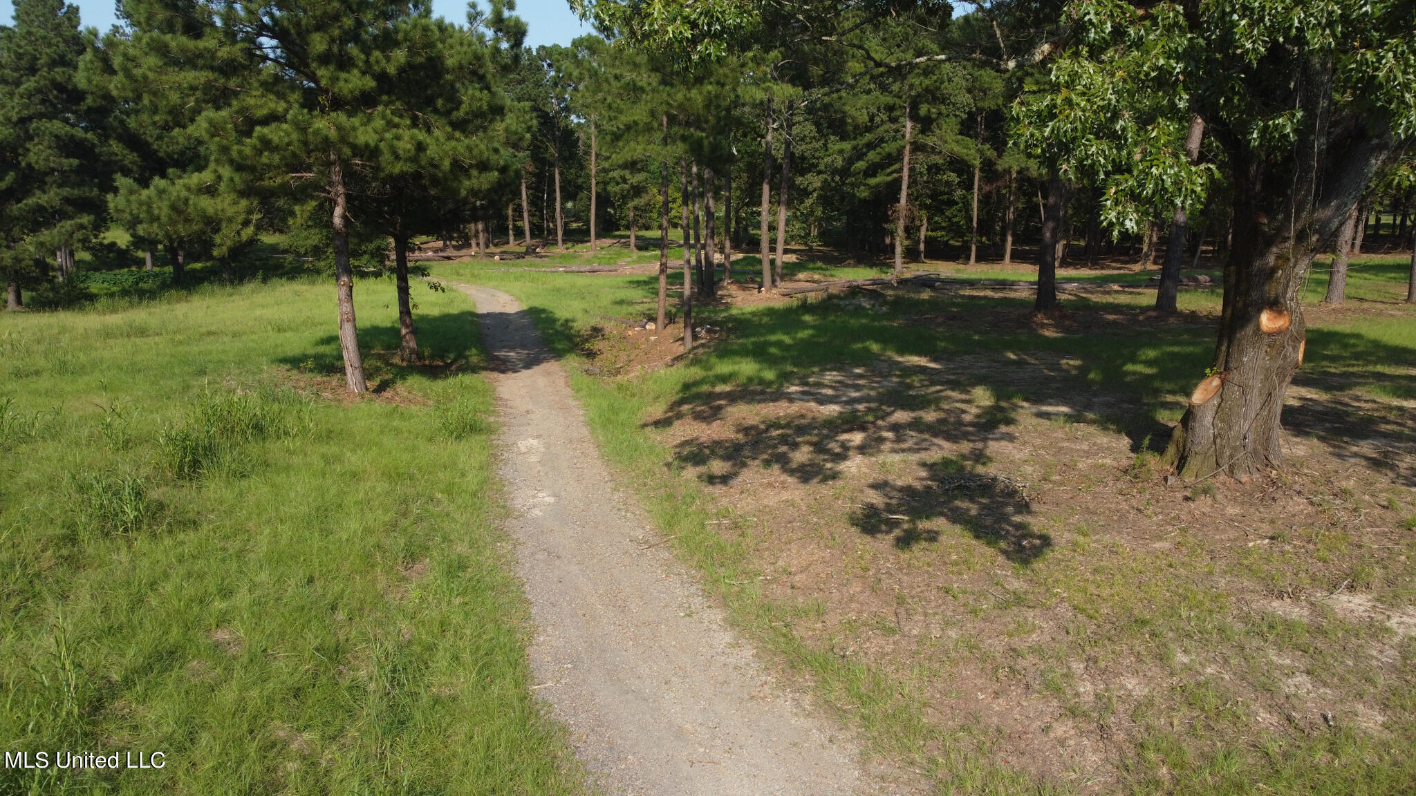 Annandale Drive Madison, MS 39110 - Photo 14 of 17 Annandale Property-20