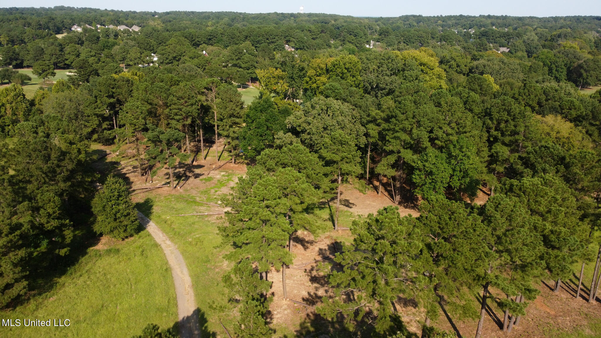 Annandale Drive Madison, MS 39110 - Photo 16 of 17 Annandale Property-23