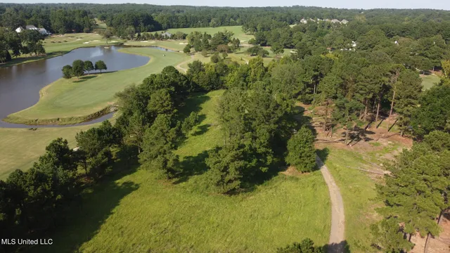 $2,000,000 | Annandale Drive, Madison, MS 39110
