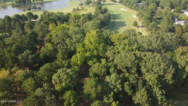 $2,000,000 | Annandale Drive, Madison, MS 39110