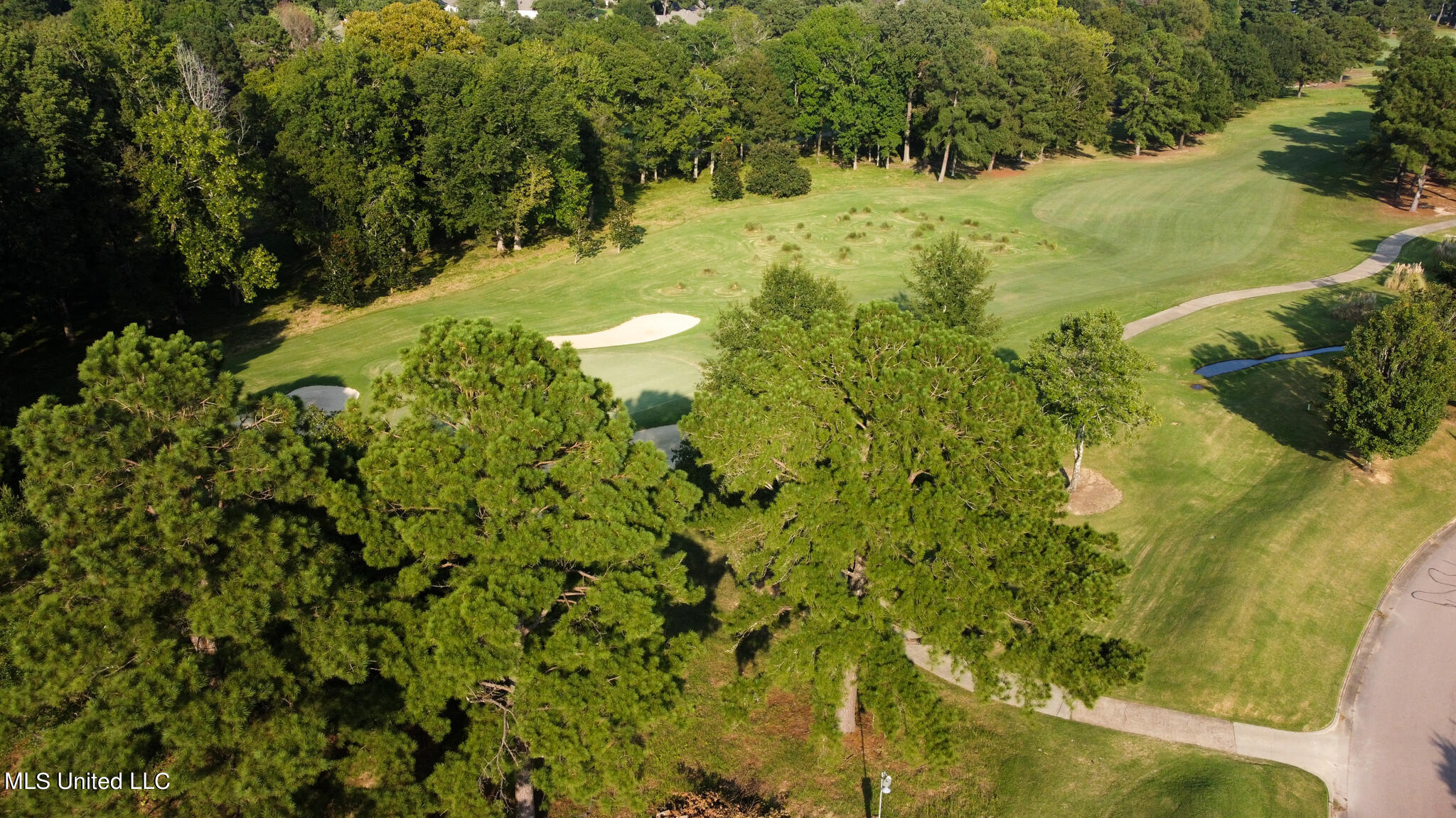 Annandale Drive Madison, MS 39110 - Photo 5 of 17 Annandale Property-11